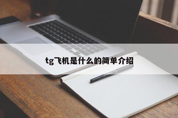 tg飞机是什么的简单介绍