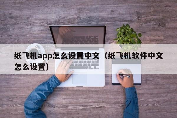 纸飞机app怎么设置中文（纸飞机软件中文怎么设置）