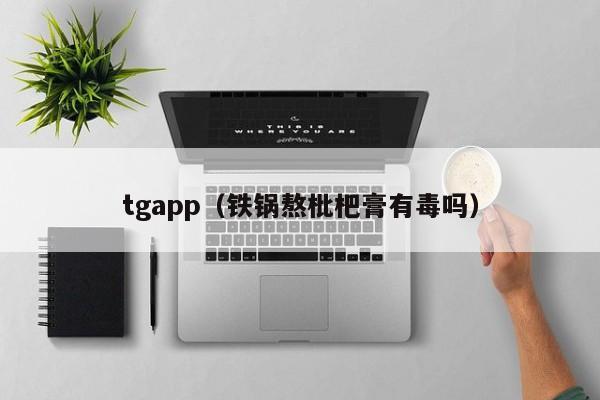 tgapp（铁锅熬枇杷膏有毒吗）