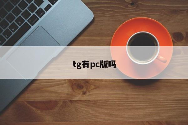 tg有pc版吗