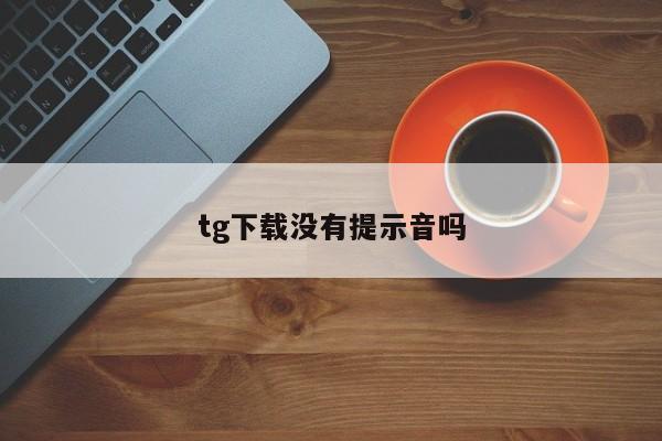 tg下载没有提示音吗