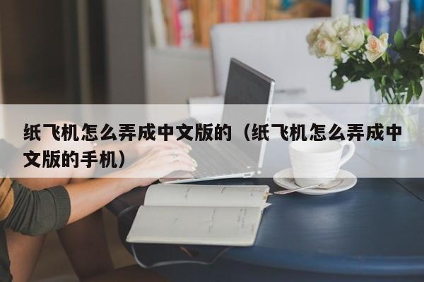 纸飞机怎么弄成中文版的（纸飞机怎么弄成中文版的手机）