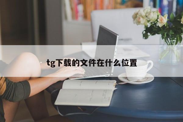 tg下载的文件在什么位置