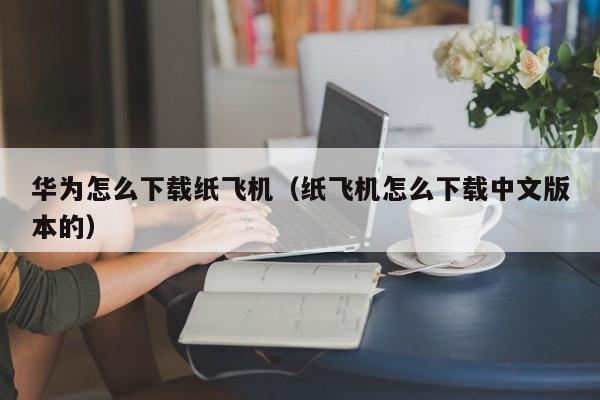 华为怎么下载纸飞机（纸飞机怎么下载中文版本的）