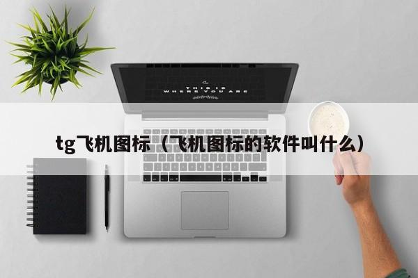 tg飞机图标（飞机图标的软件叫什么）