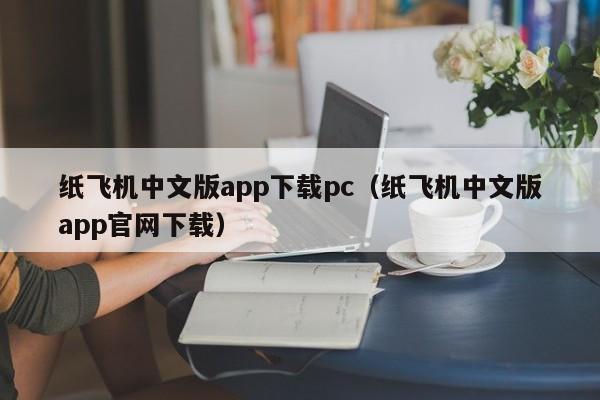 纸飞机中文版app下载pc（纸飞机中文版app官网下载）