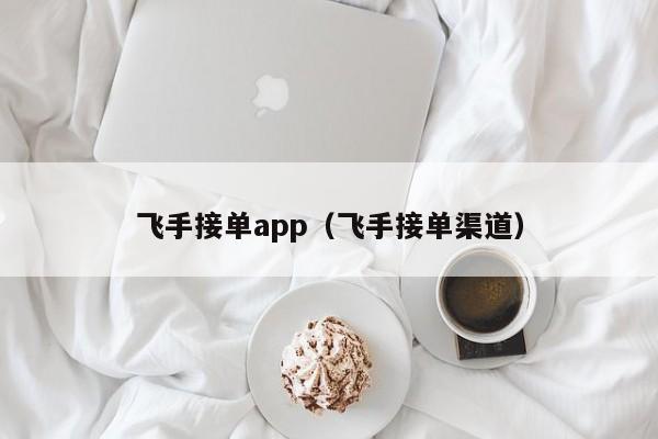 飞手接单app（飞手接单渠道）