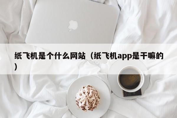 纸飞机是个什么网站（纸飞机app是干嘛的）