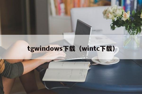 tgwindows下载（wintc下载）