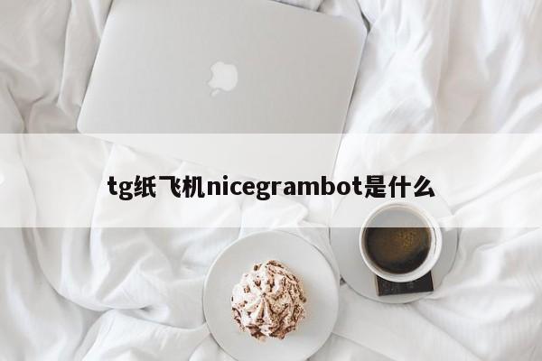 tg纸飞机nicegrambot是什么