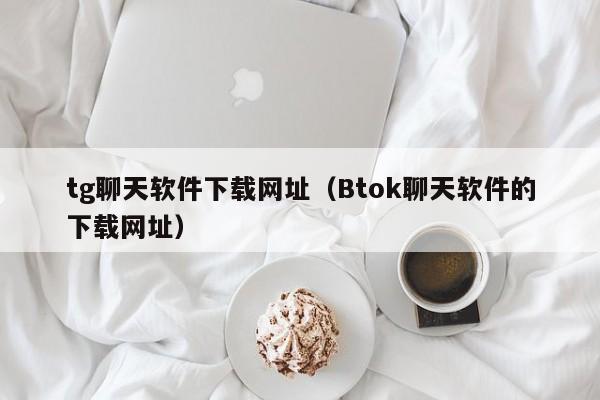 tg聊天软件下载网址（Btok聊天软件的下载网址）