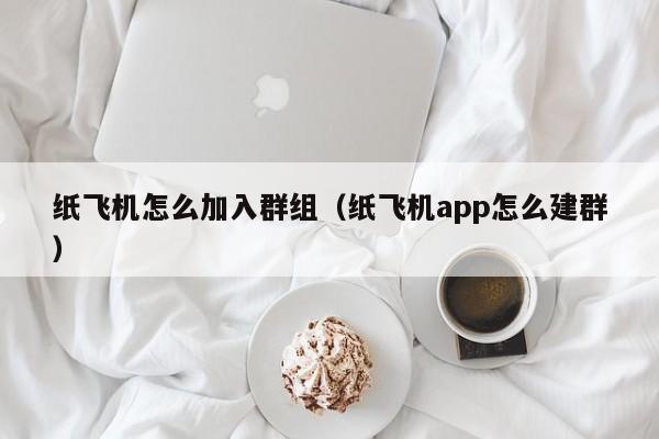 纸飞机怎么加入群组（纸飞机app怎么建群）