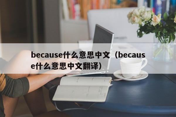 because什么意思中文（because什么意思中文翻译）