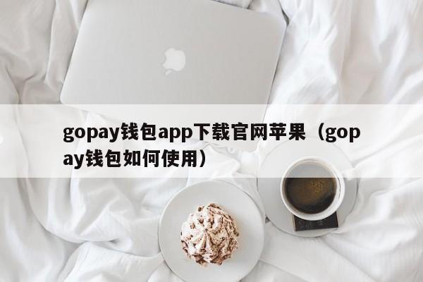 gopay钱包app下载官网苹果（gopay钱包如何使用）