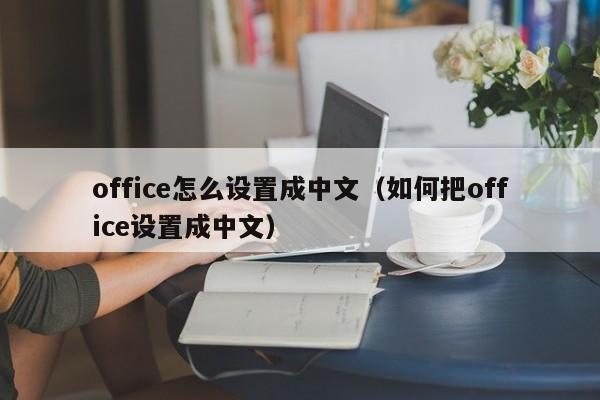 office怎么设置成中文（如何把office设置成中文）