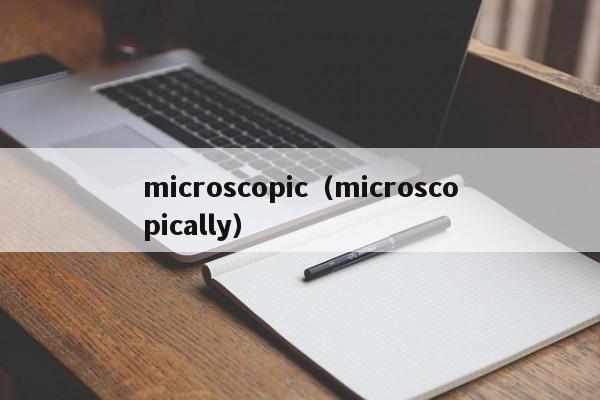 microscopic（microscopically）