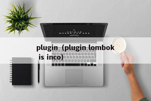 plugin（plugin lombok is inco）