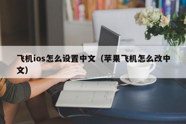 飞机ios怎么设置中文（苹果飞机怎么改中文）