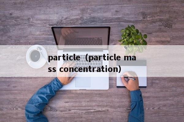 particle（particle mass concentration）