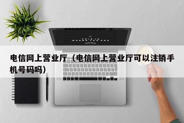 电信网上营业厅（电信网上营业厅可以注销手机号码吗）