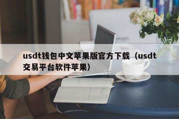 usdt钱包中文苹果版官方下载（usdt交易平台软件苹果）