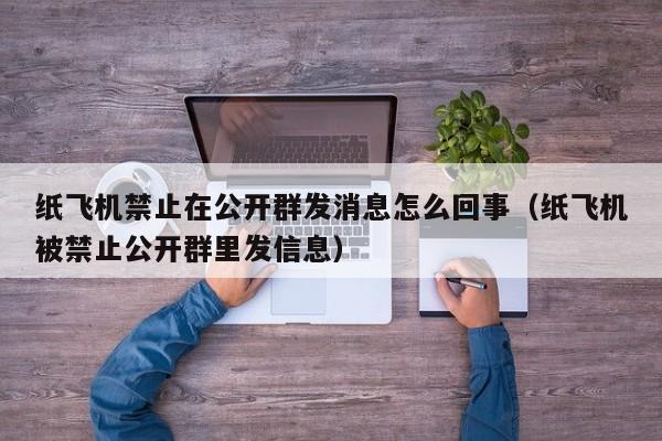 纸飞机禁止在公开群发消息怎么回事（纸飞机被禁止公开群里发信息）