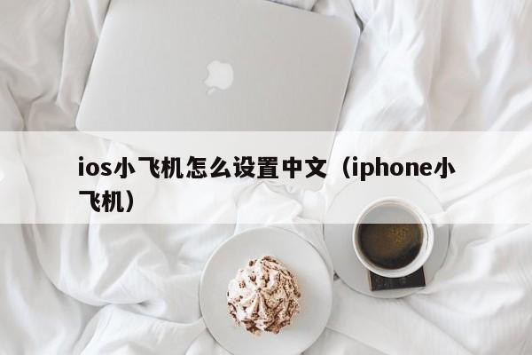 ios小飞机怎么设置中文（iphone小飞机）