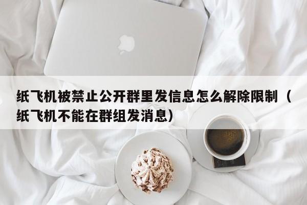 纸飞机被禁止公开群里发信息怎么解除限制（纸飞机不能在群组发消息）