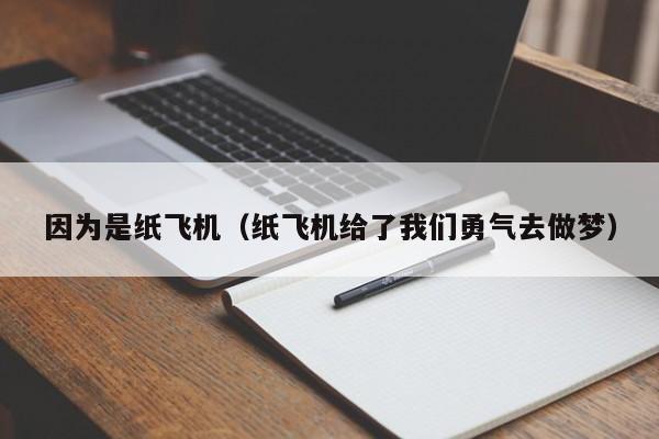 因为是纸飞机（纸飞机给了我们勇气去做梦）