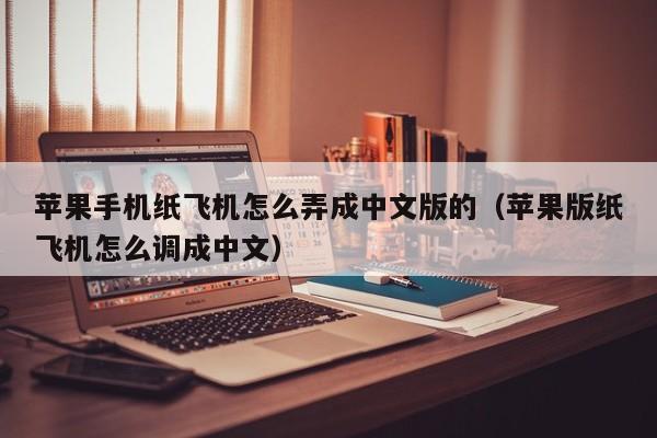 苹果手机纸飞机怎么弄成中文版的（苹果版纸飞机怎么调成中文）