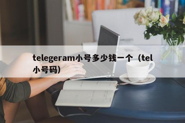 telegeram小号多少钱一个（tel小号码）