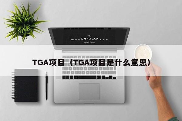 TGA项目（TGA项目是什么意思）