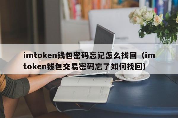 imtoken钱包密码忘记怎么找回（imtoken钱包交易密码忘了如何找回）