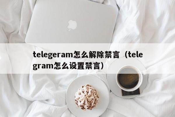 telegeram怎么解除禁言（telegram怎么设置禁言）