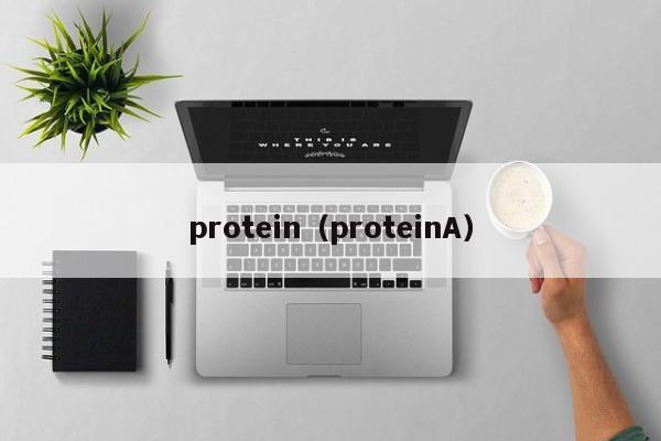 protein（proteinA）