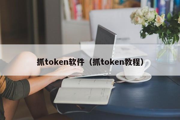 抓token软件（抓token教程）