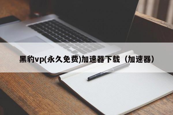 黑豹vp(永久免费)加速器下载（加速器）