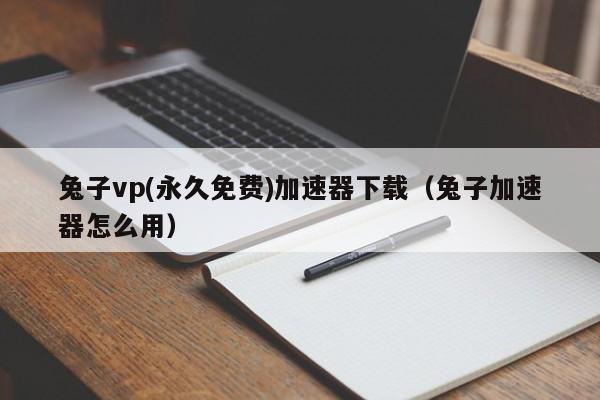 兔子vp(永久免费)加速器下载（兔子加速器怎么用）