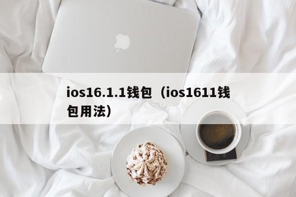 ios16.1.1钱包（ios1611钱包用法）