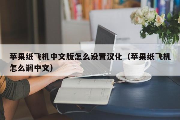 苹果纸飞机中文版怎么设置汉化（苹果纸飞机怎么调中文）