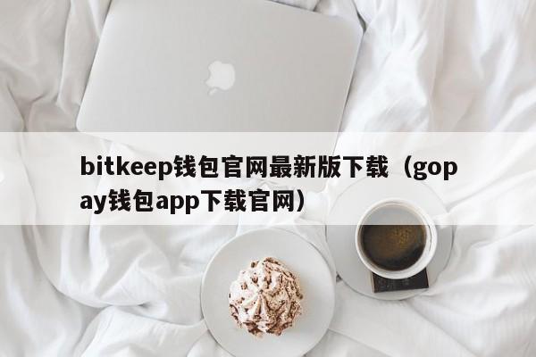 bitkeep钱包官网最新版下载（gopay钱包app下载官网）