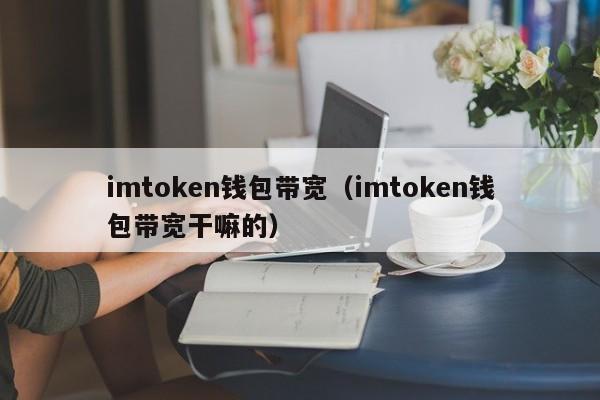 imtoken钱包带宽（imtoken钱包带宽干嘛的）