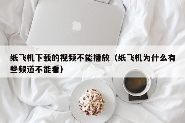 纸飞机下载的视频不能播放（纸飞机为什么有些频道不能看）