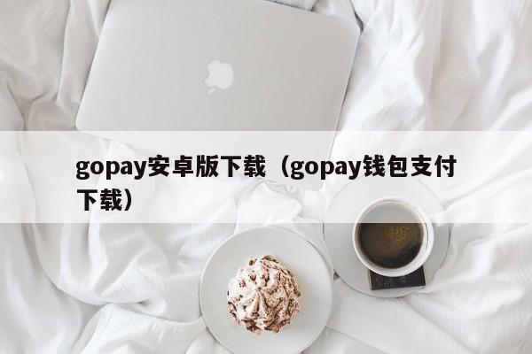 gopay安卓版下载（gopay钱包支付下载）