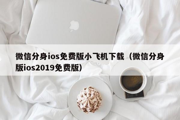 微信分身ios免费版小飞机下载（微信分身版ios2019免费版）