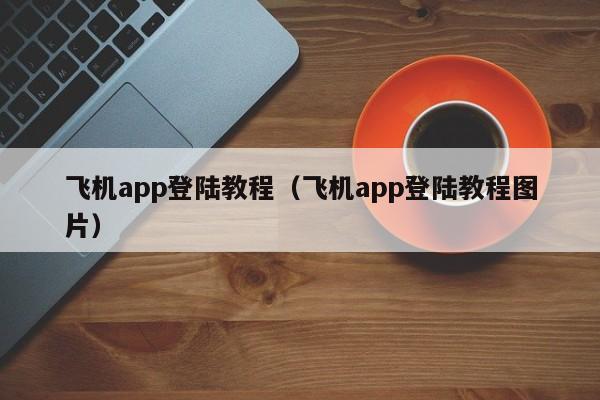 飞机app登陆教程（飞机app登陆教程图片）