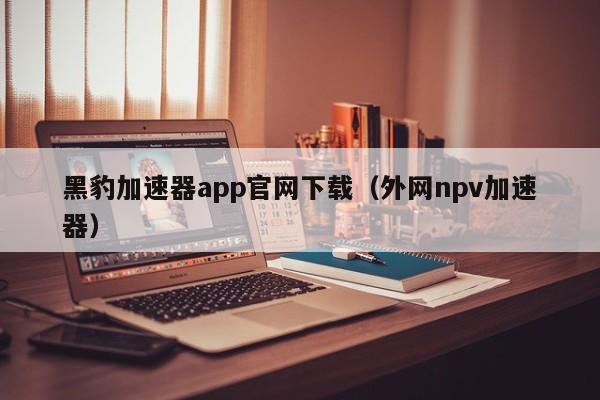 黑豹加速器app官网下载（外网npv加速器）