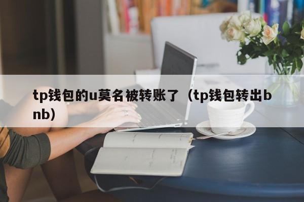 tp钱包的u莫名被转账了（tp钱包转出bnb）