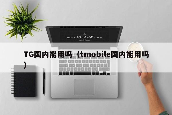 TG国内能用吗（tmobile国内能用吗）