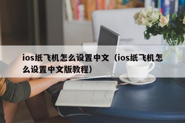 ios纸飞机怎么设置中文（ios纸飞机怎么设置中文版教程）